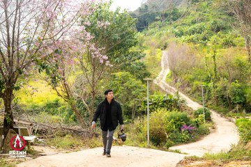 Ảnh sự kiện PRENN TRAIL SUMMIT 2025 - eb0a4ec0dd37dfc509c6b259d8a3a0f5.jpg