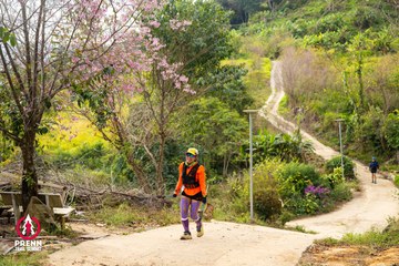 Ảnh sự kiện PRENN TRAIL SUMMIT 2025 - eb552931a34b9f869e0bca4f66795675.jpg