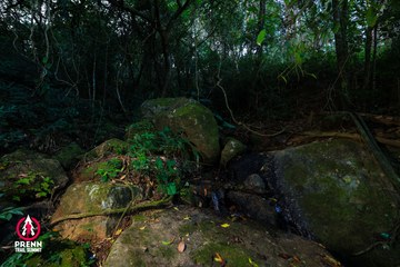 Ảnh sự kiện PRENN TRAIL SUMMIT 2025 - ede85f4972182257a1439987aef36b4a.jpg