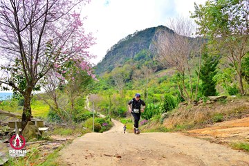 Ảnh sự kiện PRENN TRAIL SUMMIT 2025 - ee7b5de68688218b6290aae412143e31.jpg