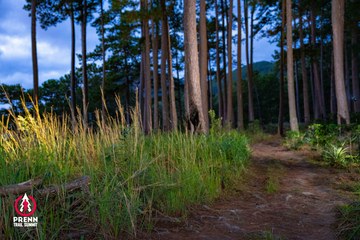 Photo PRENN TRAIL SUMMIT 2025 - ef839c9403dd404d192b71c9211534f3.jpg