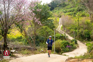 Ảnh sự kiện PRENN TRAIL SUMMIT 2025 - f0499673fc09627989eeda5b28aa6924.jpg