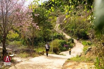 Ảnh sự kiện PRENN TRAIL SUMMIT 2025 - f273d6128bc46a174906494d1fb27126.jpg