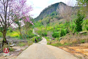 Ảnh sự kiện PRENN TRAIL SUMMIT 2025 - f289aa5cc55e2aaec2f9409e84e77de4.jpg