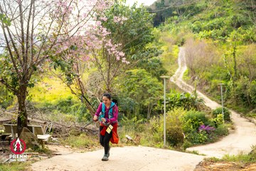 Ảnh sự kiện PRENN TRAIL SUMMIT 2025 - f2b9409dfb3a59cd3039f2e0c1425038.jpg