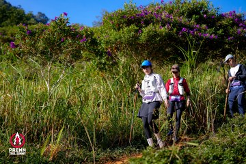 Photo PRENN TRAIL SUMMIT 2025 - f31294d7dba81ee4755bca99a4a77082.jpg