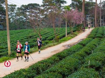Ảnh sự kiện PRENN TRAIL SUMMIT 2025 - f35ee080a436a6bb26569080395ff216.jpg