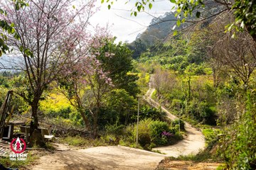 Ảnh sự kiện PRENN TRAIL SUMMIT 2025 - f50dd445bb889f44c05e2359419773c6.jpg