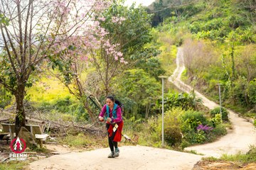 Ảnh sự kiện PRENN TRAIL SUMMIT 2025 - f9732956ca1e9778f93d7323ae6dd5fd.jpg