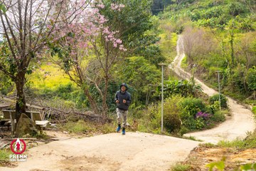 Ảnh sự kiện PRENN TRAIL SUMMIT 2025 - fd5e087807546c372f3833a49d1ec604.jpg