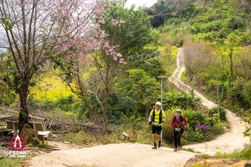 Ảnh sự kiện PRENN TRAIL SUMMIT 2025 - fdbb0690161c4deb31fb909bb0e2026e.jpg