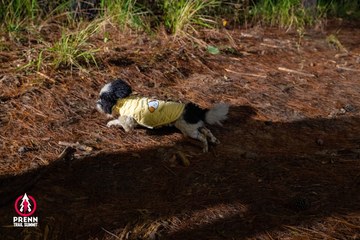 Ảnh sự kiện PRENN TRAIL SUMMIT 2025 - fdcfbc671f3c8c7b44d1c62354d42d9c.jpg