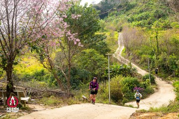 Ảnh sự kiện PRENN TRAIL SUMMIT 2025 - ff29e696b39cf2099d8e157e95031511.jpg