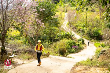 Ảnh sự kiện PRENN TRAIL SUMMIT 2025 - ffa8da9c7521c71ff5033c63d486cf2d.jpg