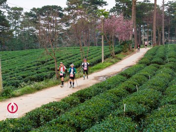 Ảnh sự kiện PRENN TRAIL SUMMIT 2025 - ffc50a1d8ecefbc782c6491a13c46bb5.jpg
