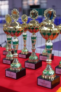 TRANSIMEX SHTP LOGISTICS PICKLEBALL - Ảnh #4848816