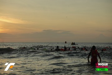 Photo VIETNAM TRIFACTOR 2026 - 13165f2a784234bc18f21c4b4c6da928.jpg