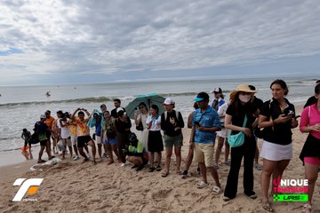 Ảnh sự kiện VIETNAM TRIFACTOR 2026 - 1aafc483853b0c53141eb27ee7ddb195.jpg