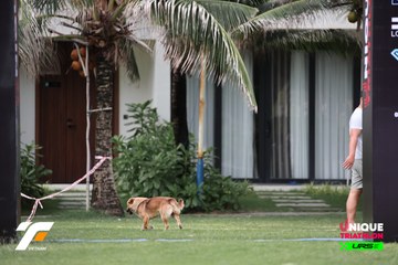 Photo VIETNAM TRIFACTOR 2026 - c022ff5cbeb369cbc9a49d912154c1fd.jpg